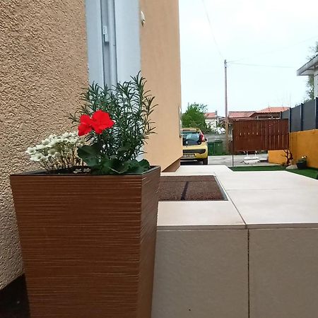 Apartman Sandra -Private Parking And Garden Zadar Eksteriør bilde