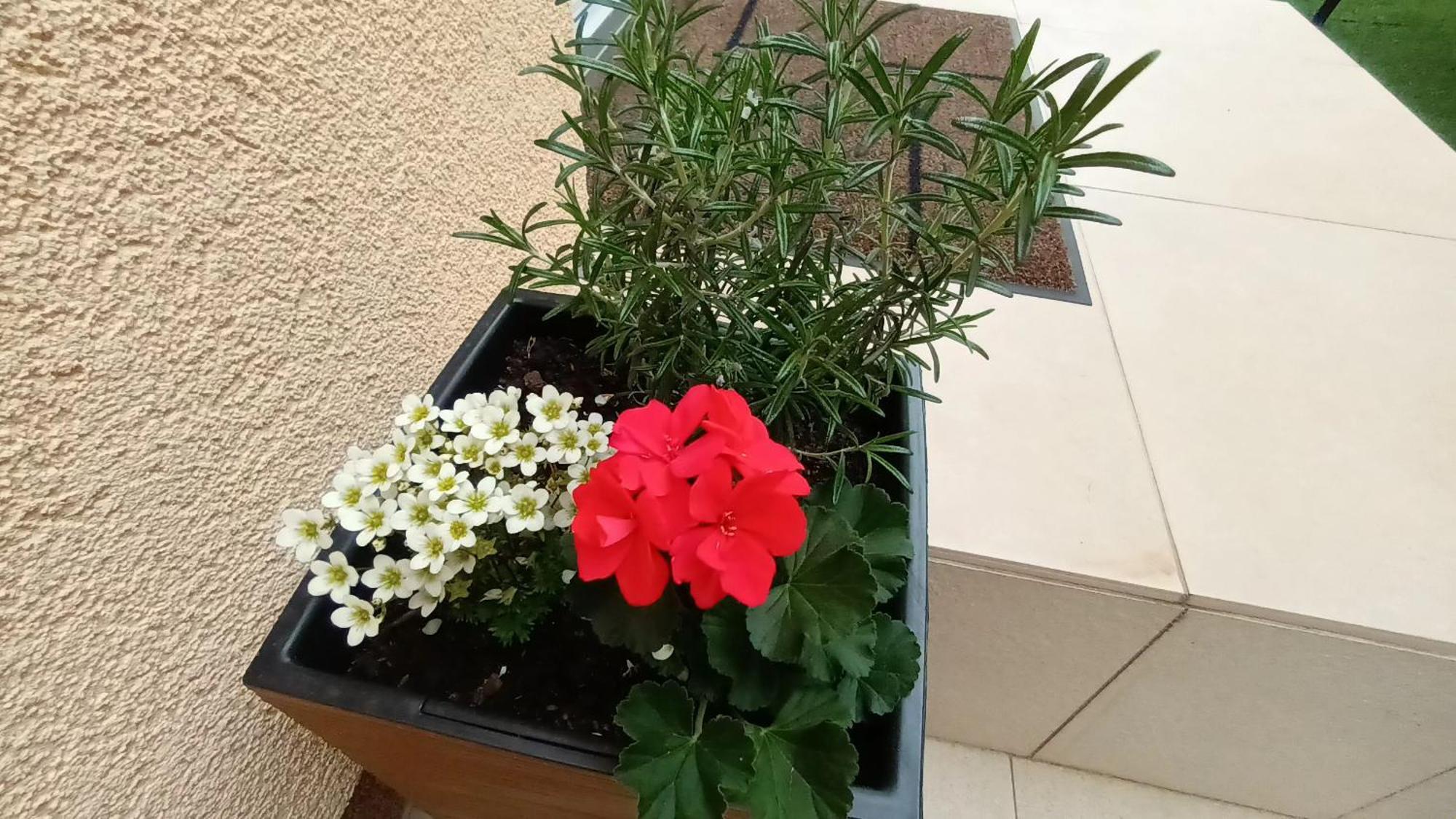 Apartman Sandra -Private Parking And Garden Zadar Eksteriør bilde