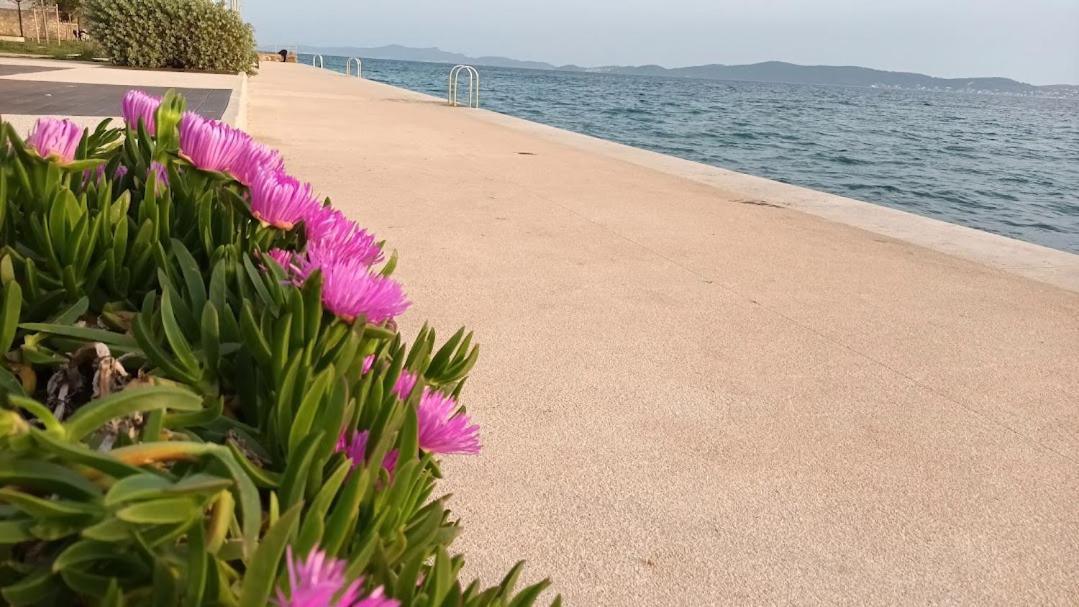 Apartman Sandra -Private Parking And Garden Zadar Eksteriør bilde