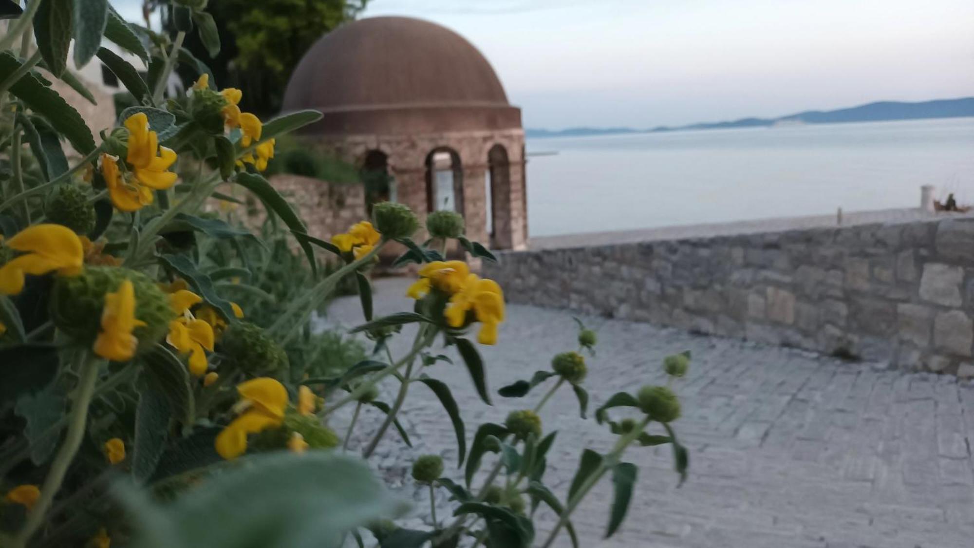 Apartman Sandra -Private Parking And Garden Zadar Eksteriør bilde
