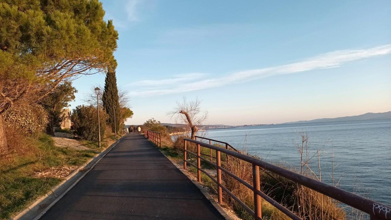 Apartman Sandra -Private Parking And Garden Zadar Eksteriør bilde