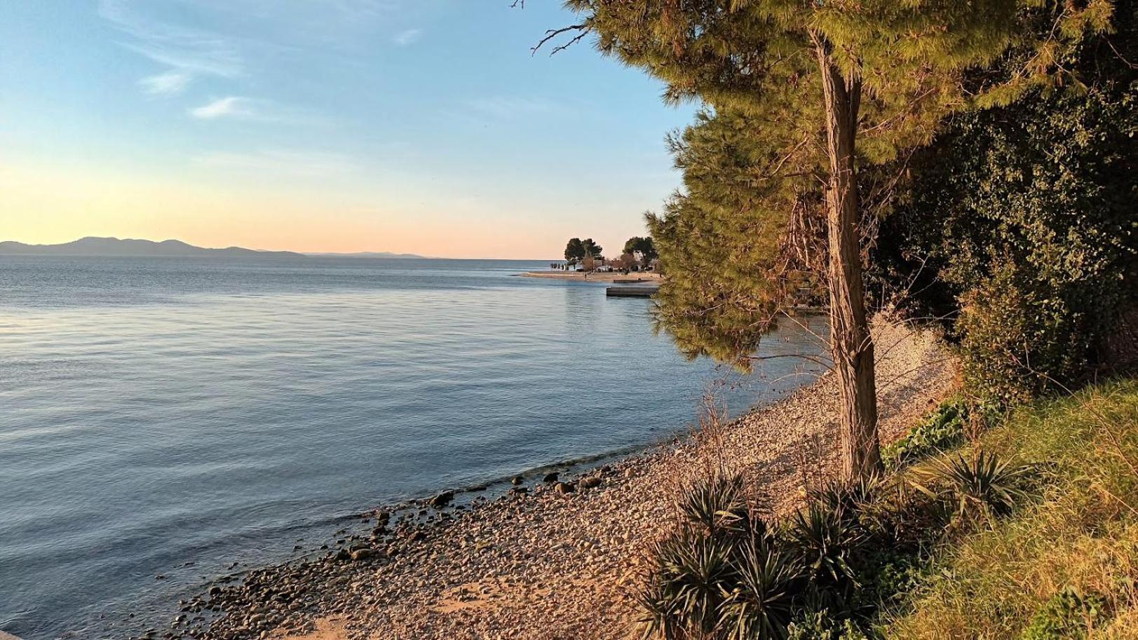 Apartman Sandra -Private Parking And Garden Zadar Eksteriør bilde